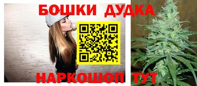 индика Ирбит