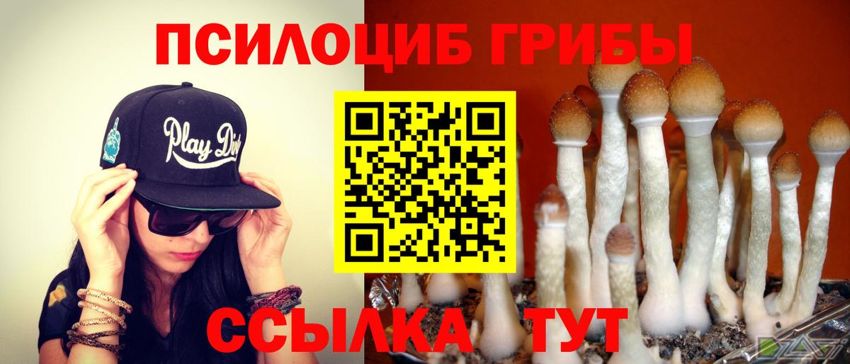 Псилоцибиновые грибы прущие грибы  Вход с VPN  Галлюциногенные грибы ЛСД  Куйбышев 